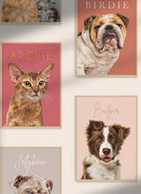 Load image into Gallery viewer, Colorful Style Exclusive pet art - MsCutBB Custom Pet Portraits
